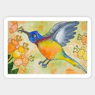 Sunbird Magnet